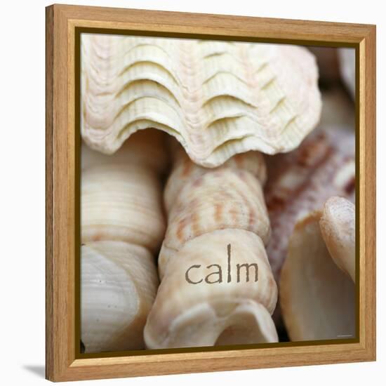 Calm-Nicole Katano-Framed Stretched Canvas