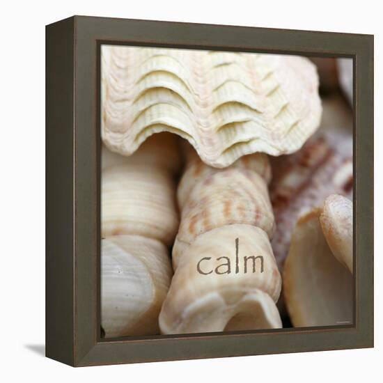 Calm-Nicole Katano-Framed Stretched Canvas