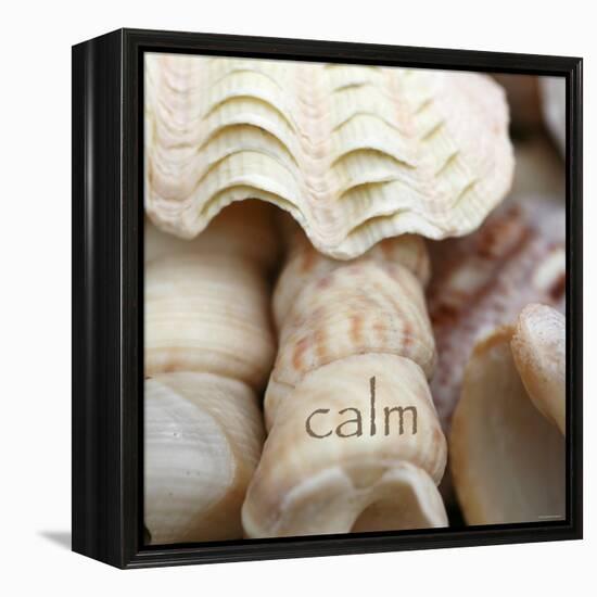 Calm-Nicole Katano-Framed Stretched Canvas