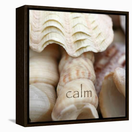 Calm-Nicole Katano-Framed Stretched Canvas