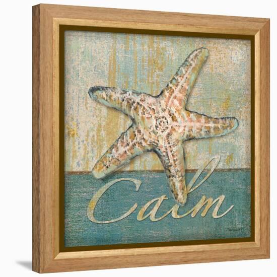 Calm-Todd Williams-Framed Stretched Canvas