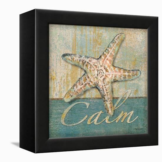 Calm-Todd Williams-Framed Stretched Canvas