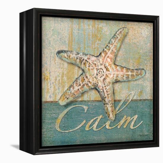 Calm-Todd Williams-Framed Stretched Canvas