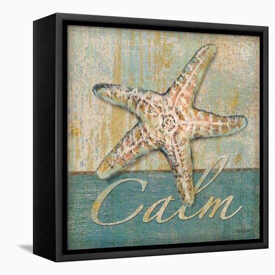 Calm-Todd Williams-Framed Stretched Canvas