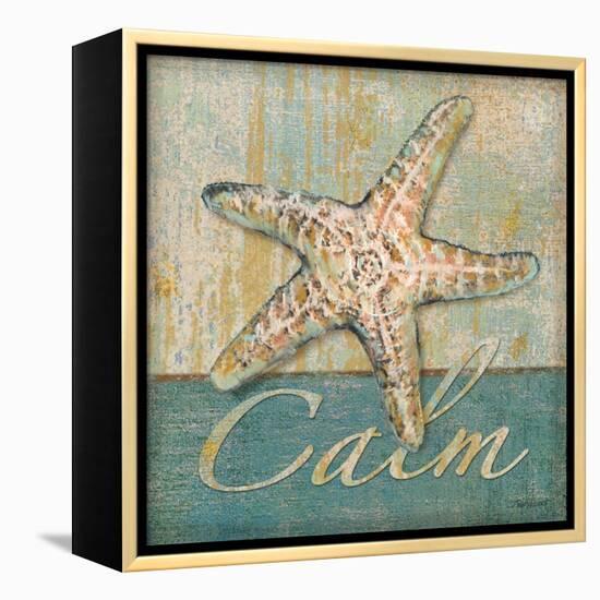 Calm-Todd Williams-Framed Stretched Canvas