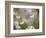 Calm-Marco Carmassi-Framed Photographic Print