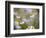 Calm-Marco Carmassi-Framed Photographic Print