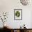 Calophyllum Inophyllum-null-Framed Giclee Print displayed on a wall