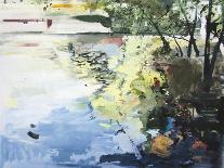 The Alster in High Summer, Hamburg, 2013-Calum McClure-Giclee Print