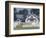 Calumet Horse Farm, Lexington, Kentucky, USA-Adam Jones-Framed Photographic Print