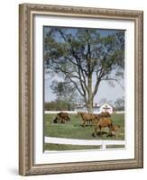 Calumet, Horse Farm-Eliot Elisofon-Framed Photographic Print
