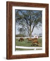 Calumet, Horse Farm-Eliot Elisofon-Framed Photographic Print