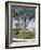 Calumet, Horse Farm-Eliot Elisofon-Framed Photographic Print