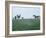 Calumet, Horse Farm-Eliot Elisofon-Framed Photographic Print