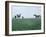 Calumet, Horse Farm-Eliot Elisofon-Framed Photographic Print