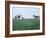 Calumet, Horse Farm-Eliot Elisofon-Framed Photographic Print