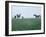 Calumet, Horse Farm-Eliot Elisofon-Framed Photographic Print