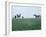 Calumet, Horse Farm-Eliot Elisofon-Framed Photographic Print