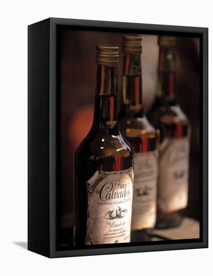 Calvados Apple Brandy, Normandy, France-Walter Bibikow-Framed Premier Image Canvas