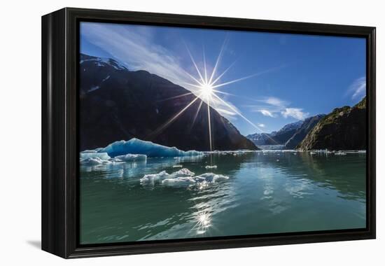 Calved Glacier Ice in Tracy Arm-Ford's Terror Wilderness Area-Michael Nolan-Framed Premier Image Canvas