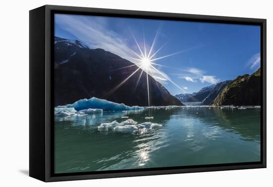 Calved Glacier Ice in Tracy Arm-Ford's Terror Wilderness Area-Michael Nolan-Framed Premier Image Canvas