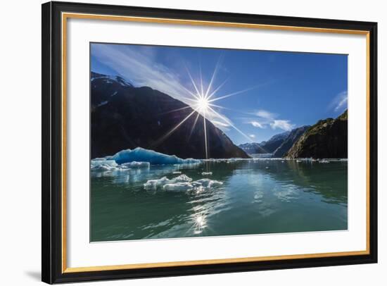 Calved Glacier Ice in Tracy Arm-Ford's Terror Wilderness Area-Michael Nolan-Framed Photographic Print