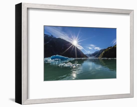 Calved Glacier Ice in Tracy Arm-Ford's Terror Wilderness Area-Michael Nolan-Framed Photographic Print