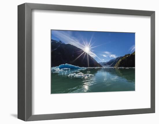 Calved Glacier Ice in Tracy Arm-Ford's Terror Wilderness Area-Michael Nolan-Framed Photographic Print