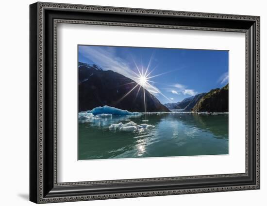 Calved Glacier Ice in Tracy Arm-Ford's Terror Wilderness Area-Michael Nolan-Framed Photographic Print