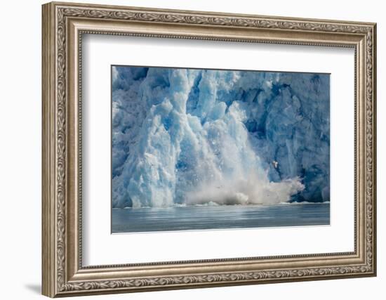 Calved Icebergs from South Sawyer Glacier in Tracy Arm-Fords Terror Wilderness Area in Alaska-Michael Nolan-Framed Photographic Print