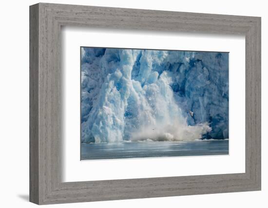 Calved Icebergs from South Sawyer Glacier in Tracy Arm-Fords Terror Wilderness Area in Alaska-Michael Nolan-Framed Photographic Print