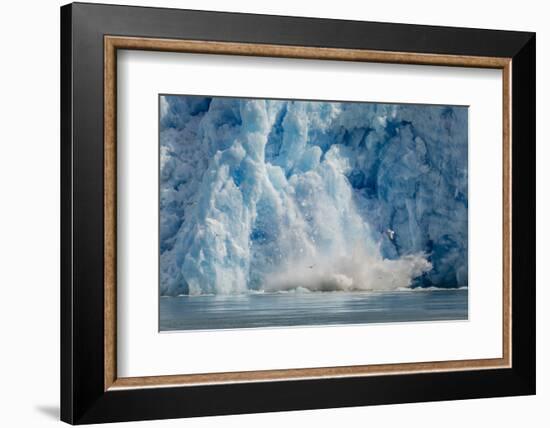 Calved Icebergs from South Sawyer Glacier in Tracy Arm-Fords Terror Wilderness Area in Alaska-Michael Nolan-Framed Photographic Print