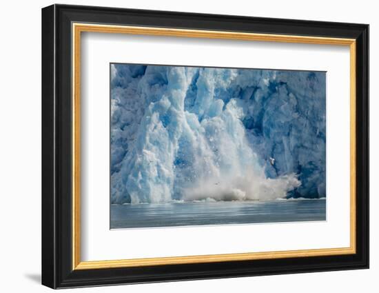 Calved Icebergs from South Sawyer Glacier in Tracy Arm-Fords Terror Wilderness Area in Alaska-Michael Nolan-Framed Photographic Print