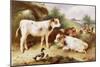 Calves and Poultry by a Byre-Walter Hunt-Mounted Giclee Print