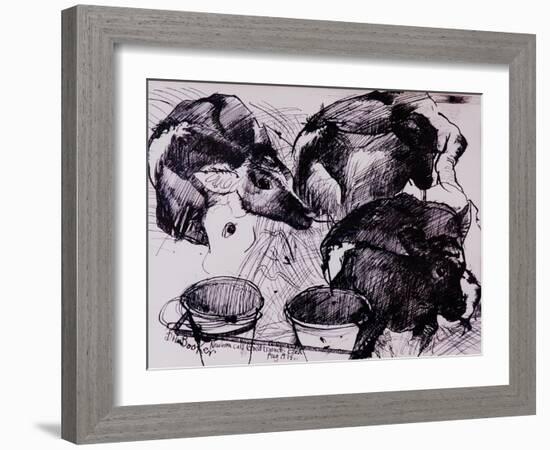 Calves, Damp, Newborn, 1978-Brenda Brin Booker-Framed Giclee Print