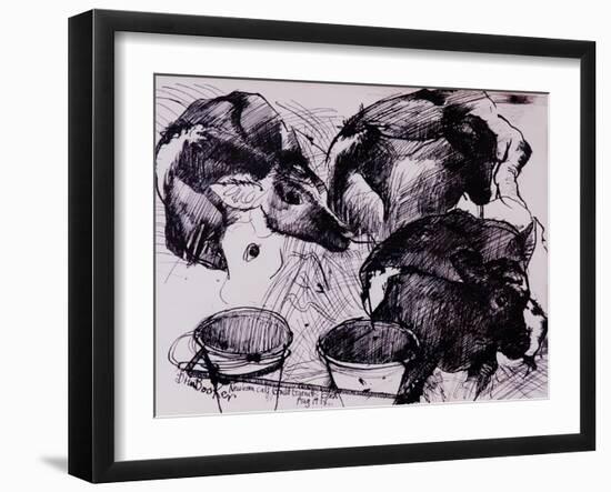 Calves, Damp, Newborn, 1978-Brenda Brin Booker-Framed Giclee Print