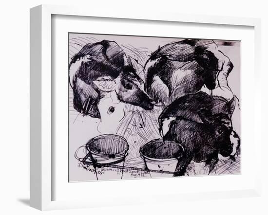 Calves, Damp, Newborn, 1978-Brenda Brin Booker-Framed Giclee Print