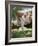 Calves Suckling on Their Mother-Bjorn Svensson-Framed Photographic Print