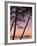 Calvi, Corsica, France-Doug Pearson-Framed Photographic Print