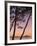 Calvi, Corsica, France-Doug Pearson-Framed Photographic Print