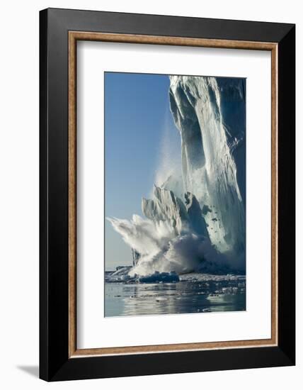 Calving Iceberg in Disko Bay in Greenland-null-Framed Photographic Print