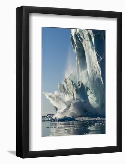 Calving Iceberg in Disko Bay in Greenland-null-Framed Photographic Print