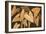 Calypso Leaves II-Paul Brent-Framed Premium Giclee Print