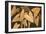 Calypso Leaves II-Paul Brent-Framed Premium Giclee Print