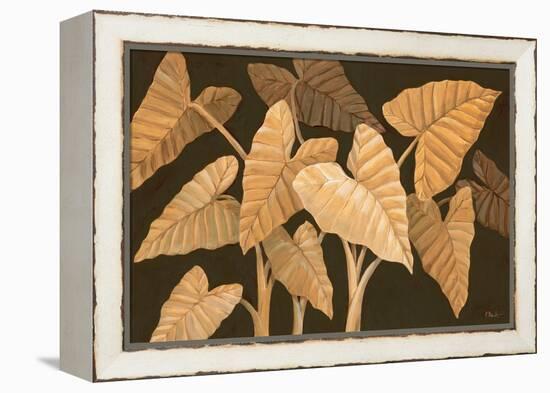 Calypso Leaves II-Paul Brent-Framed Stretched Canvas