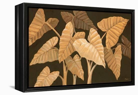 Calypso Leaves II-Paul Brent-Framed Stretched Canvas