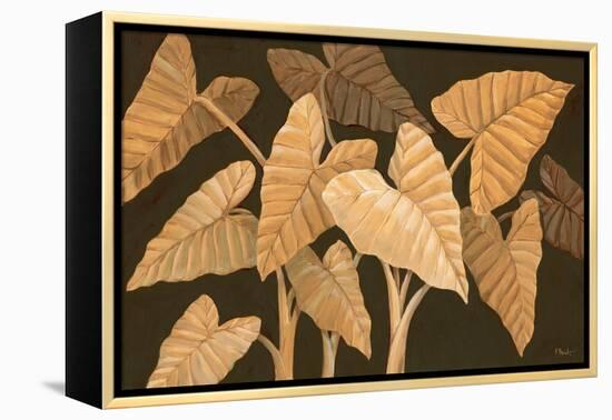 Calypso Leaves II-Paul Brent-Framed Stretched Canvas