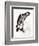 Calyptorhynchus Baudinii, or Baudin's Cockatoo, 1832-Edward Lear-Framed Giclee Print