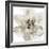 Calyx III-Tania Bello-Framed Giclee Print