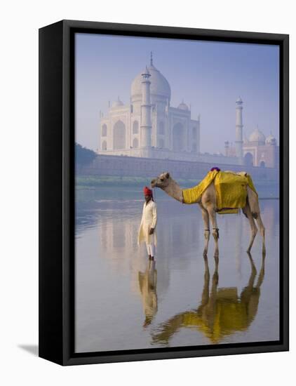 Camal and Driver, Taj Mahal, Agra, Uttar Pradesh, India-Doug Pearson-Framed Premier Image Canvas